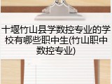 十堰竹山县学数控专业的学校有哪些职中生(竹山职中数控专业)