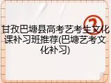 甘孜巴塘县高考艺考生文化课补习班推荐(巴塘艺考文化补习)