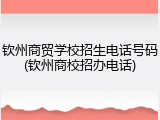钦州商贸学校招生电话号码(钦州商校招办电话)