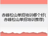赤峰松山单招培训哪个好(赤峰松山单招培训推荐)