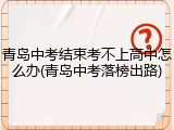 青岛中考结束考不上高中怎么办(青岛中考落榜出路)