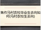 焦作马村农校毕业生去向如何(马村农校生去向)