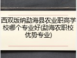 西双版纳勐海县农业职高学校哪个专业好(勐海农职校优势专业)