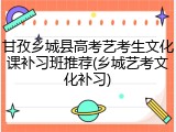 甘孜乡城县高考艺考生文化课补习班推荐(乡城艺考文化补习)