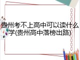贵州考不上高中可以读什么学(贵州高中落榜出路)
