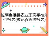 拉萨当雄县农业职高学校如何报名(拉萨农职校报名)