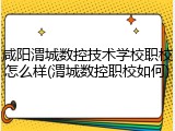 咸阳渭城数控技术学校职校怎么样(渭城数控职校如何)