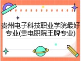 贵州电子科技职业学院最好专业(贵电职院王牌专业)