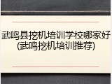 武鸣县挖机培训学校哪家好(武鸣挖机培训推荐)