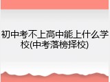 初中考不上高中能上什么学校(中考落榜择校)