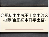 合肥初中生考不上高中怎么办呢(合肥初中升学出路)