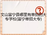 文山富宁县哪里有单招的大专学校(富宁单招大专)