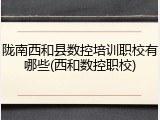 陇南西和县数控培训职校有哪些(西和数控职校)