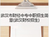 武汉市财经中专中职招生简章(武汉财校招生)