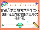 甘孜九龙县高考艺考生文化课补习班推荐(甘孜艺考文化补习)