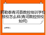 阿勒泰青河县数控培训学校技校怎么样(青河数控技校如何)