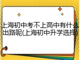 上海初中考不上高中有什么出路呢(上海初中升学选择)