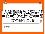 汕头澄海哪有数控编程培训中心中职怎么样(澄海中职数控编程培训)