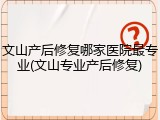 文山产后修复哪家医院最专业(文山专业产后修复)