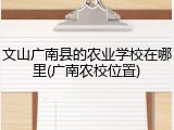 文山广南县的农业学校在哪里(广南农校位置)