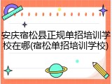 安庆宿松县正规单招培训学校在哪(宿松单招培训学校)