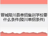 晋城陵川县单招集训学校要什么条件(陵川单招条件)