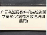 广元苍溪县数控机床培训班学费多少钱(苍溪数控培训费用)