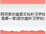 阿坝若尔盖县文化补习学校是哪一家(若尔盖补习学校)