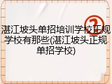 湛江坡头单招培训学校正规学校有那些(湛江坡头正规单招学校)