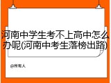 河南中学生考不上高中怎么办呢(河南中考生落榜出路)