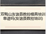 双鸭山友谊县数控模具培训靠谱吗(友谊县数控培训)