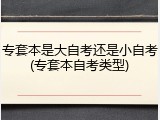 专套本是大自考还是小自考(专套本自考类型)