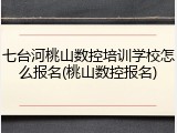 七台河桃山数控培训学校怎么报名(桃山数控报名)
