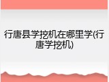 行唐县学挖机在哪里学(行唐学挖机)