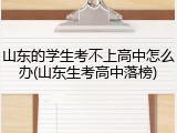 山东的学生考不上高中怎么办(山东生考高中落榜)