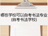 哪些学校可以自考书法专业(自考书法学校)