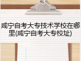 咸宁自考大专技术学校在哪里(咸宁自考大专校址)