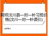 阿坝汶川县一对一补习班价格(汶川一对一补课价)