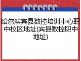 哈尔滨宾县数控培训中心职中校区地址(宾县数控职中地址)