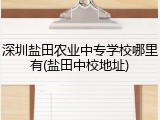深圳盐田农业中专学校哪里有(盐田中校地址)
