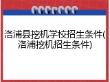 洛浦县挖机学校招生条件(洛浦挖机招生条件)