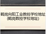 鹤岗向阳工业数控学校地址(鹤岗数控学校地址)