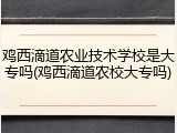鸡西滴道农业技术学校是大专吗(鸡西滴道农校大专吗)