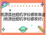 桃源县挖掘机学校哪家靠谱(桃源挖掘机学校哪家好)