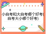 小自考和大自考哪个好考(自考大小哪个好考)