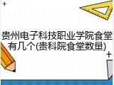 贵州电子科技职业学院食堂有几个(贵科院食堂数量)