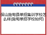 保山施甸县单招集训学校怎么样(施甸单招学校如何)