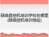 碌曲县挖机培训学校在哪里(碌曲挖机培训地址)