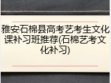 雅安石棉县高考艺考生文化课补习班推荐(石棉艺考文化补习)