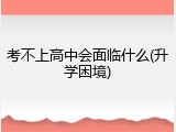 考不上高中会面临什么(升学困境)